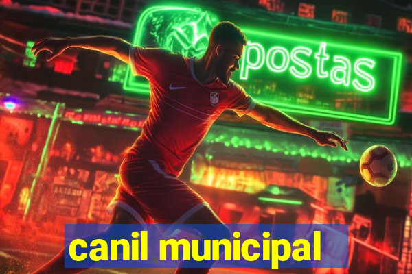 canil municipal